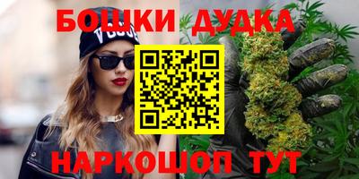 дмт Обь